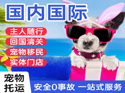赣州黄金机场快递国际宠物托运 【国